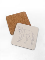 Dingo Coaster