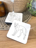 Dingo Coaster