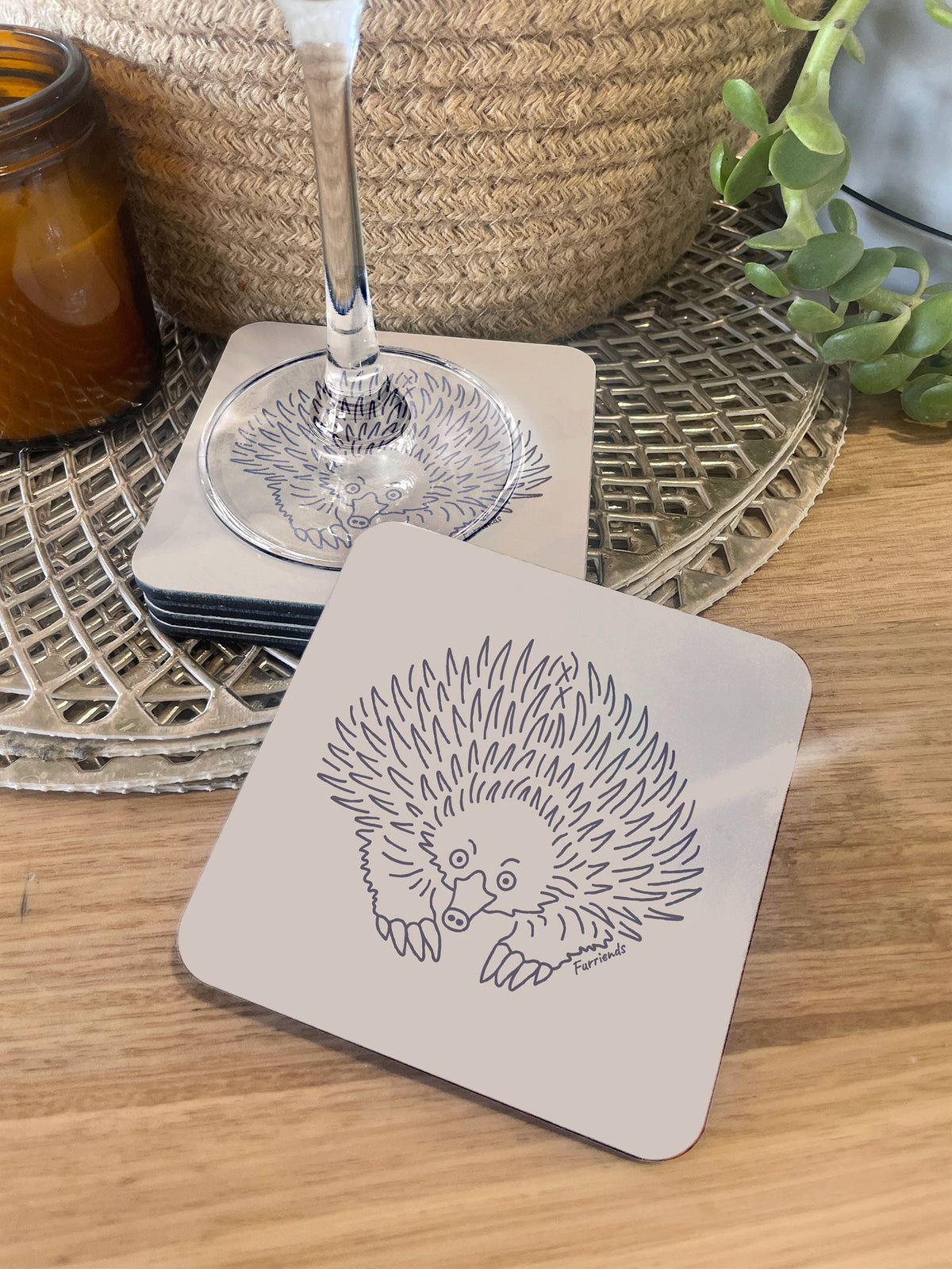 Echidna Coaster