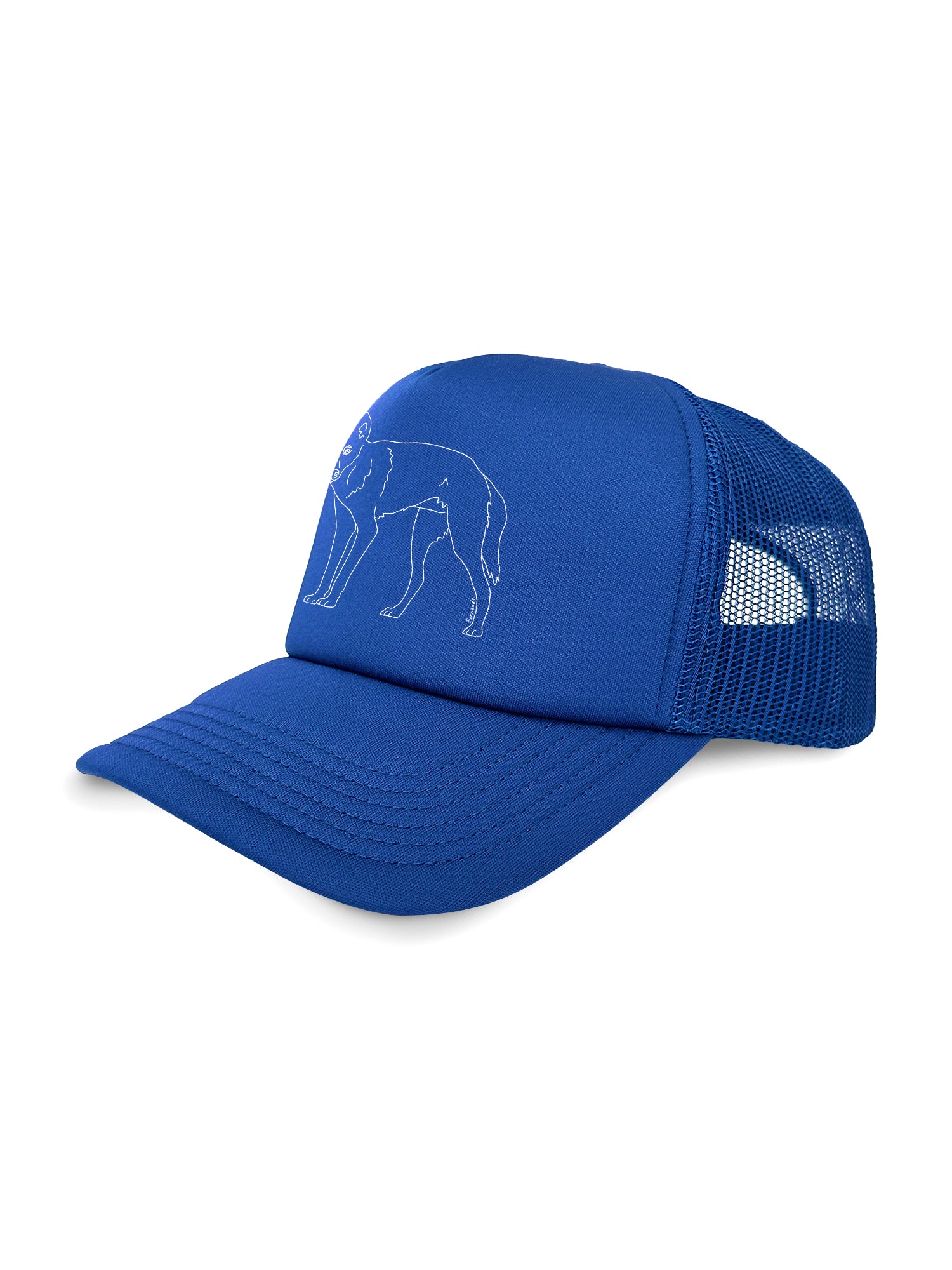 Dingo Foam Trucker Cap