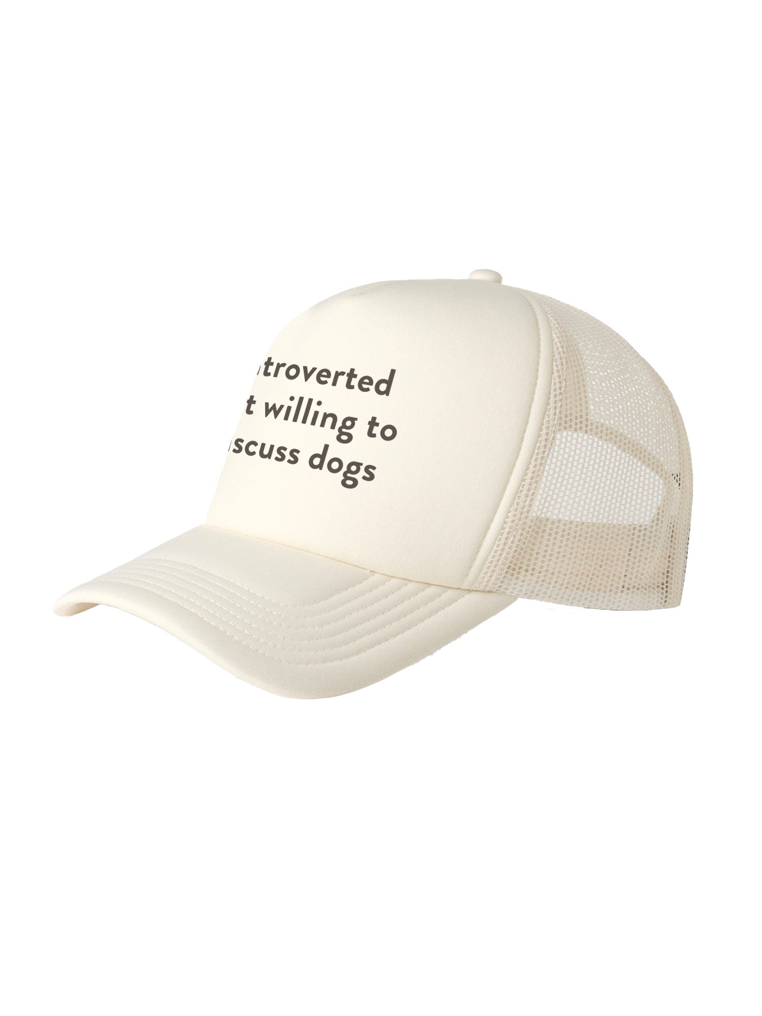 Introverted But Willing To Discuss Dogs Foam Trucker Cap
