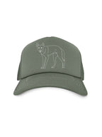 Dingo Foam Trucker Cap