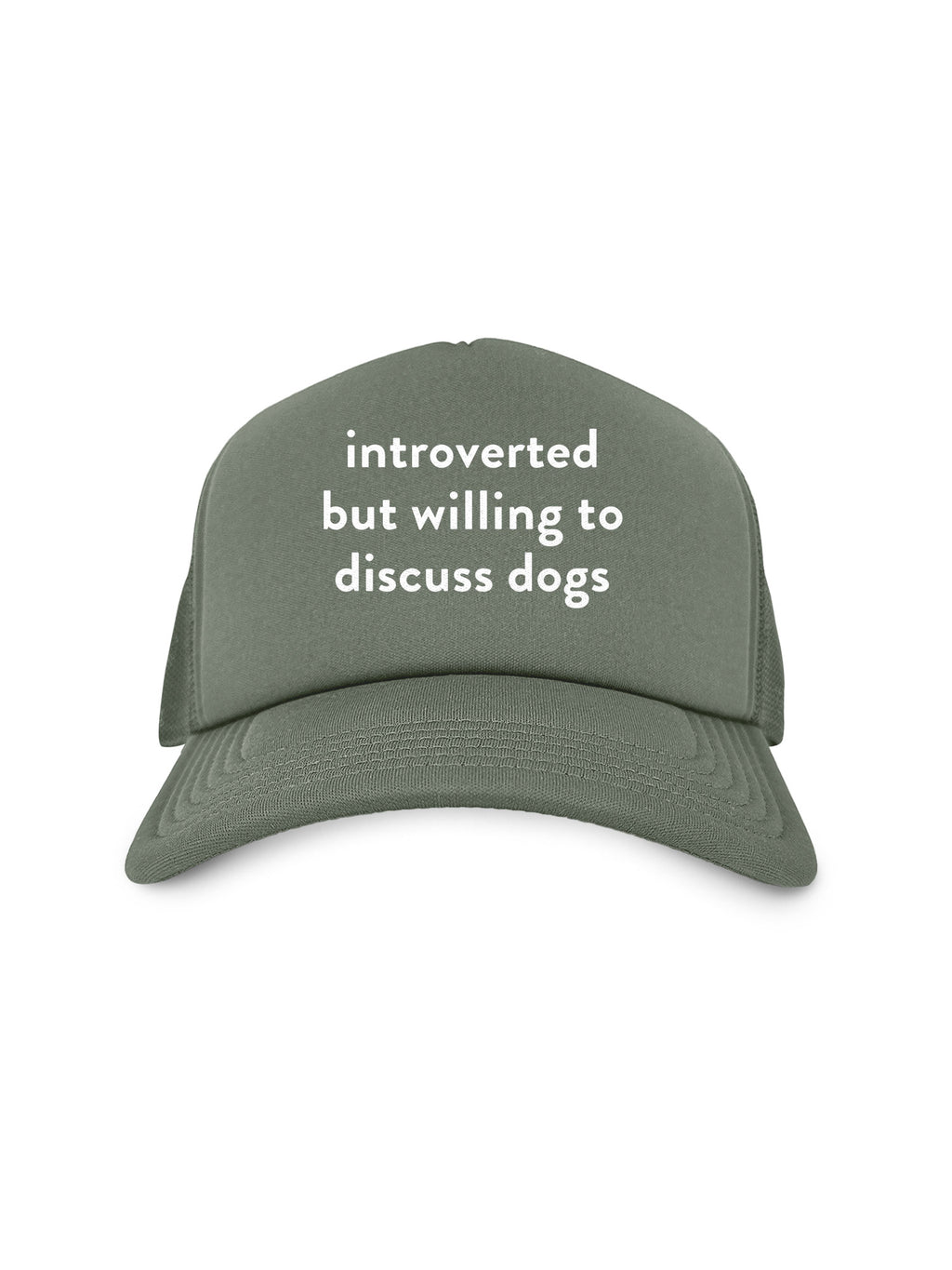 Introverted But Willing To Discuss Dogs Foam Trucker Cap