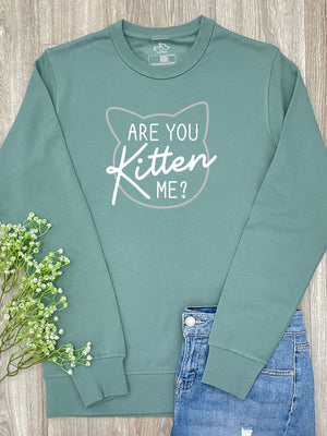 Are You Kitten Me? Classic Jumper