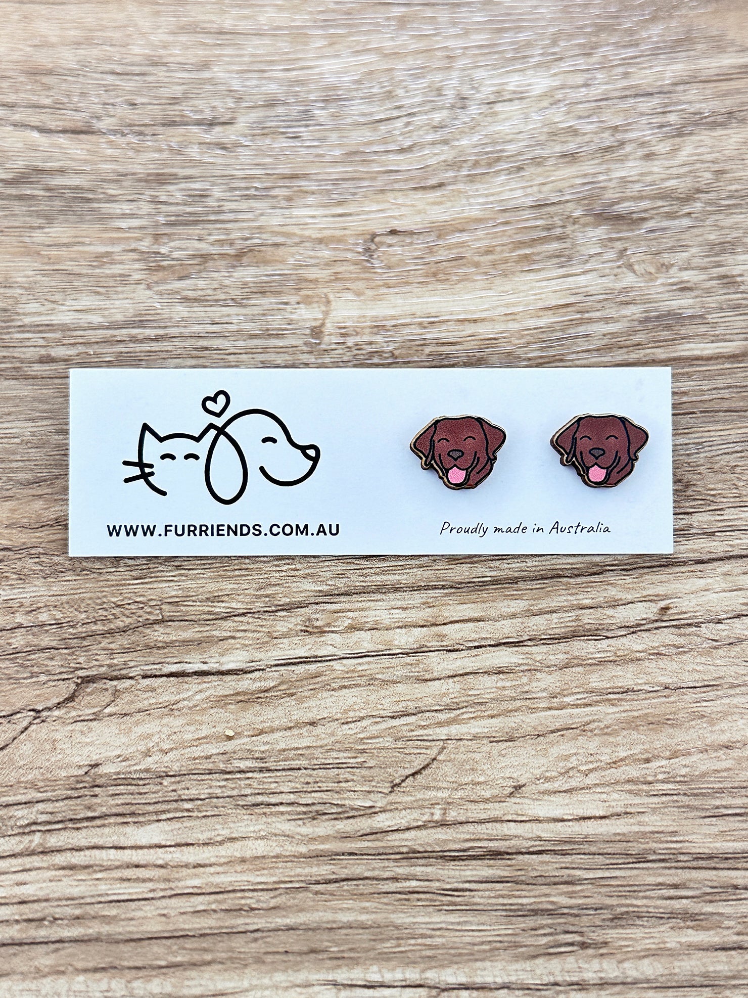 Labrador ColourPop Stud Earrings