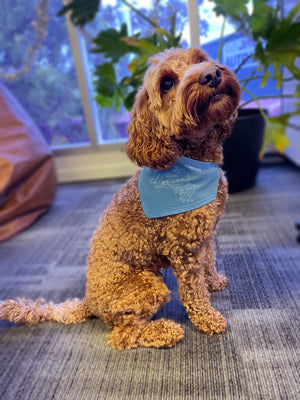 Lace Monitor Reversible Dog Bandana With Collar