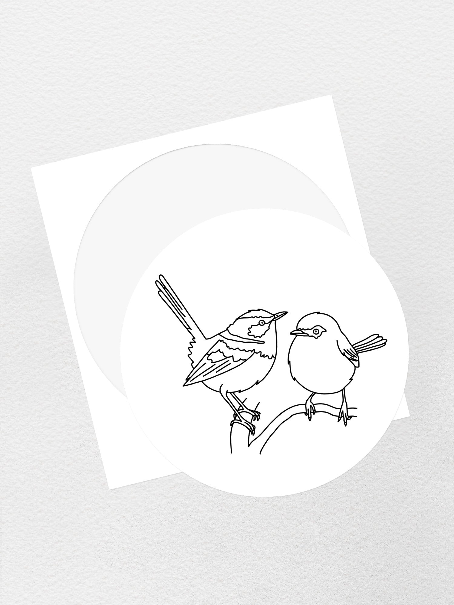 Superb Fairy Wren Sticker