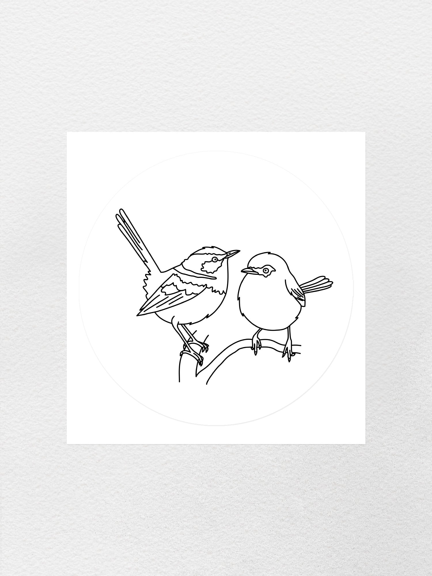 Superb Fairy Wren Sticker