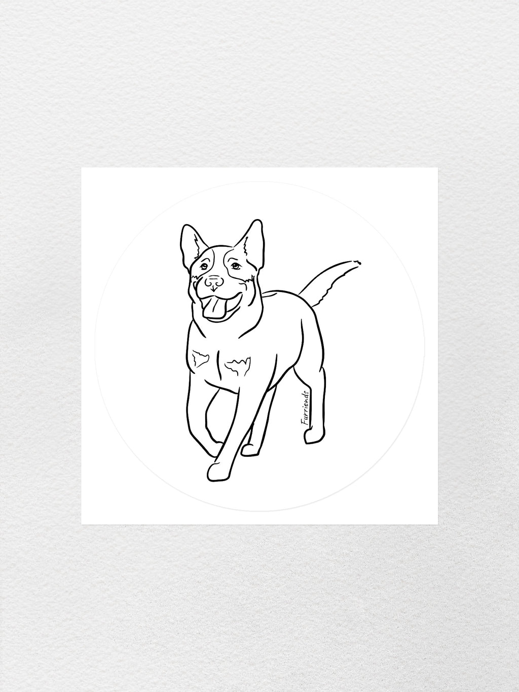 Australian Cattle Dog Sticker