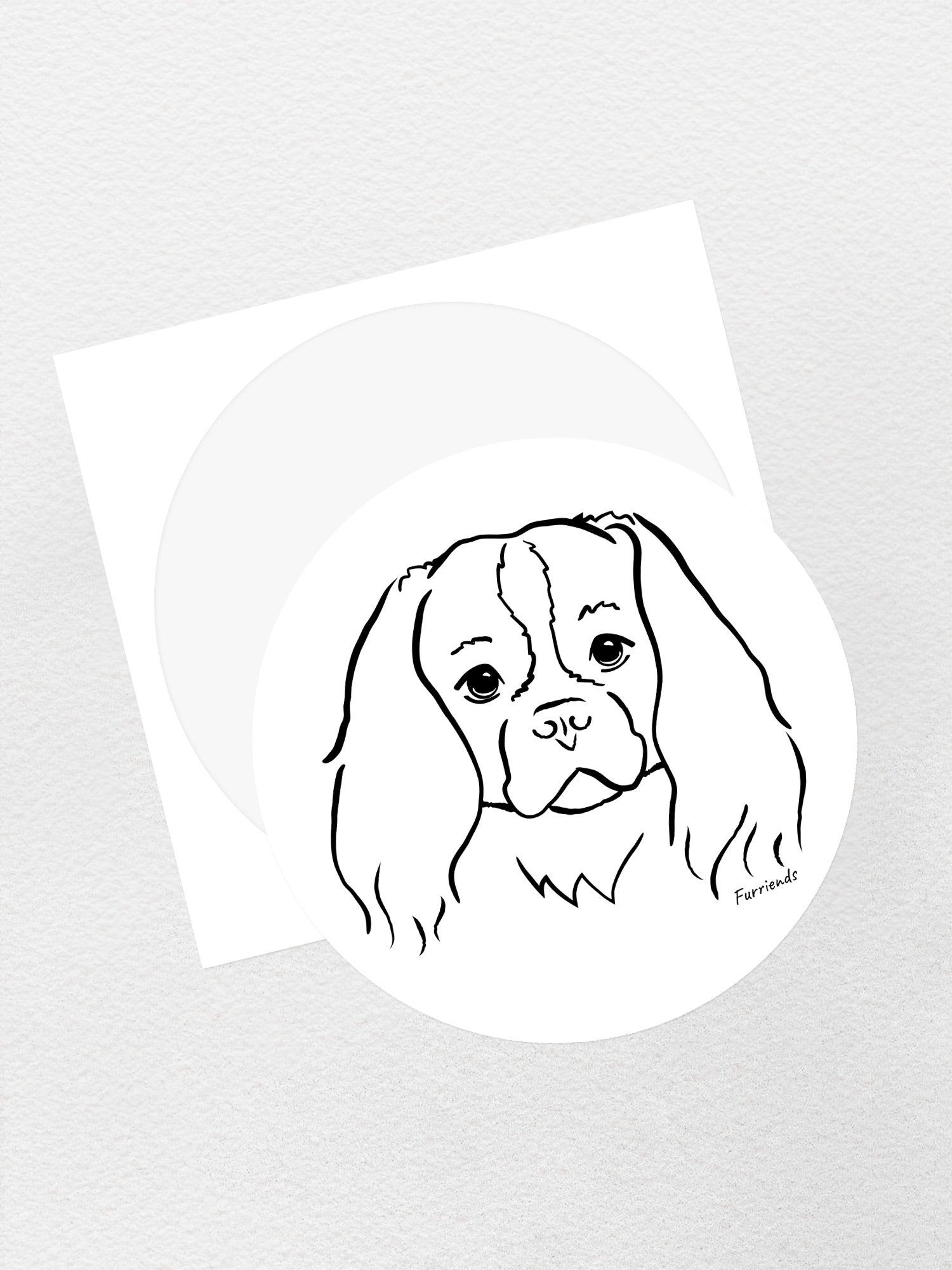 Cavalier King Charles Spaniel Sticker