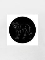 Dingo Sticker