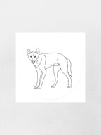 Dingo Sticker