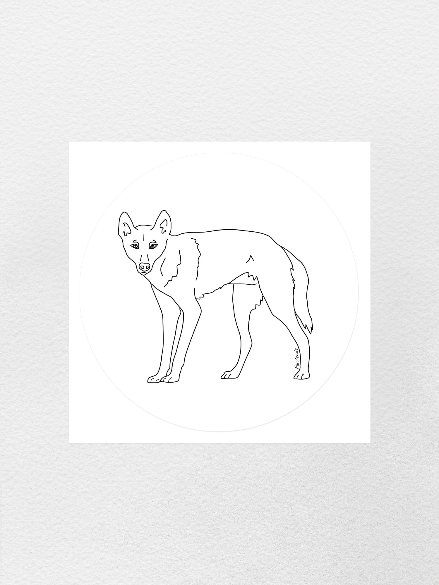 Dingo Sticker