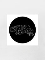 Lace Monitor Sticker