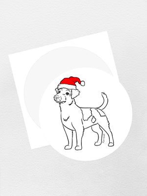 Jack Russell Terrier (Rough Coat) Christmas Edition Sticker