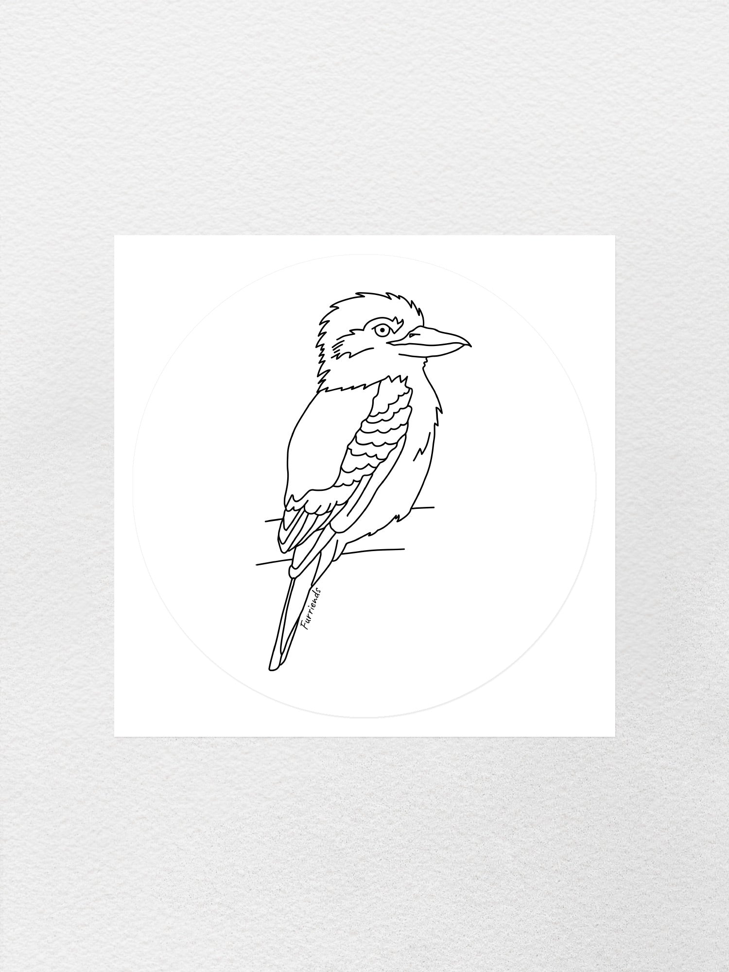 Kookaburra Sticker