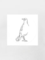 Australian Magpie Sticker