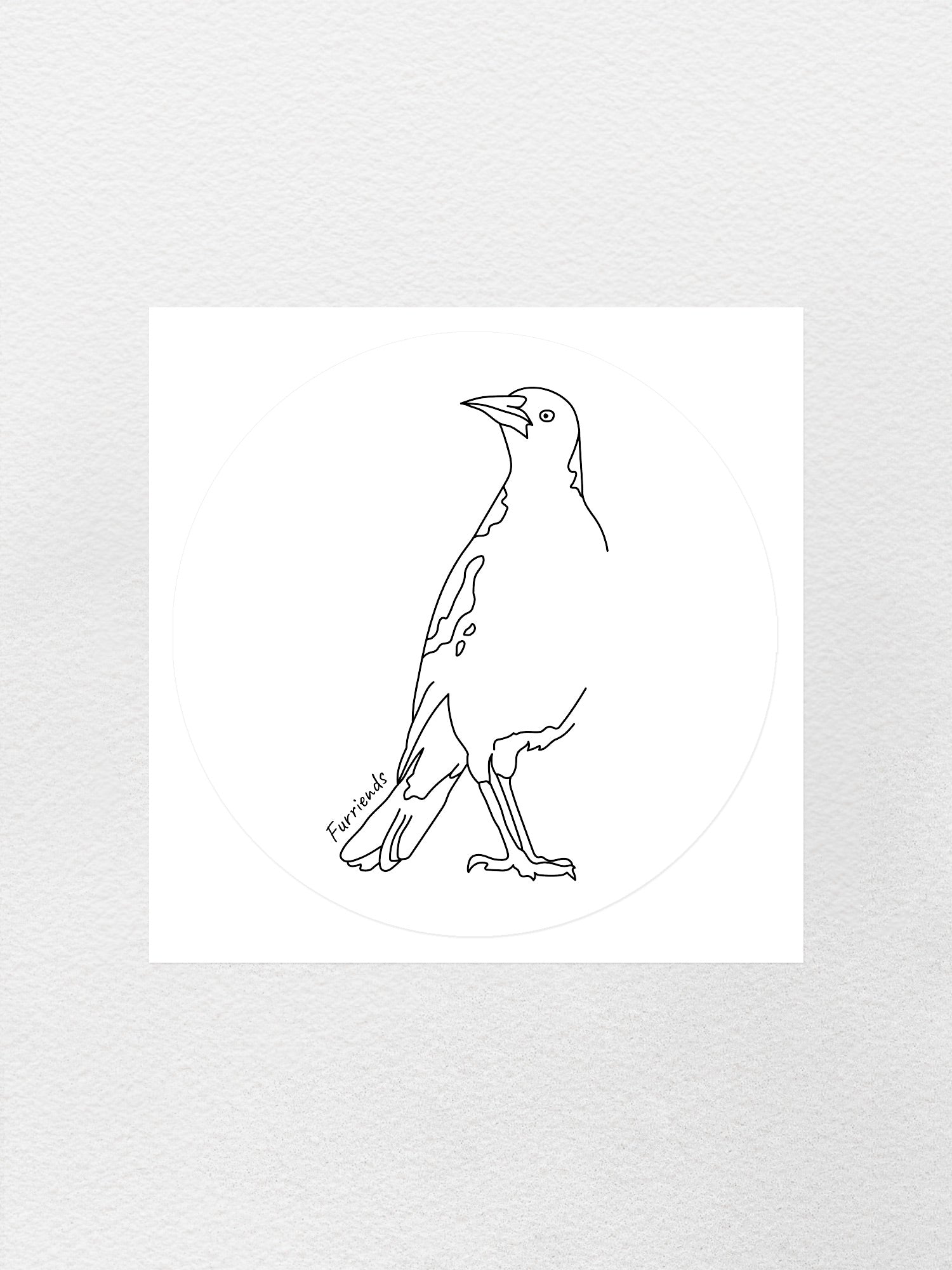 Australian Magpie Sticker
