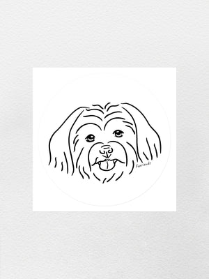 Maltese Terrier Sticker