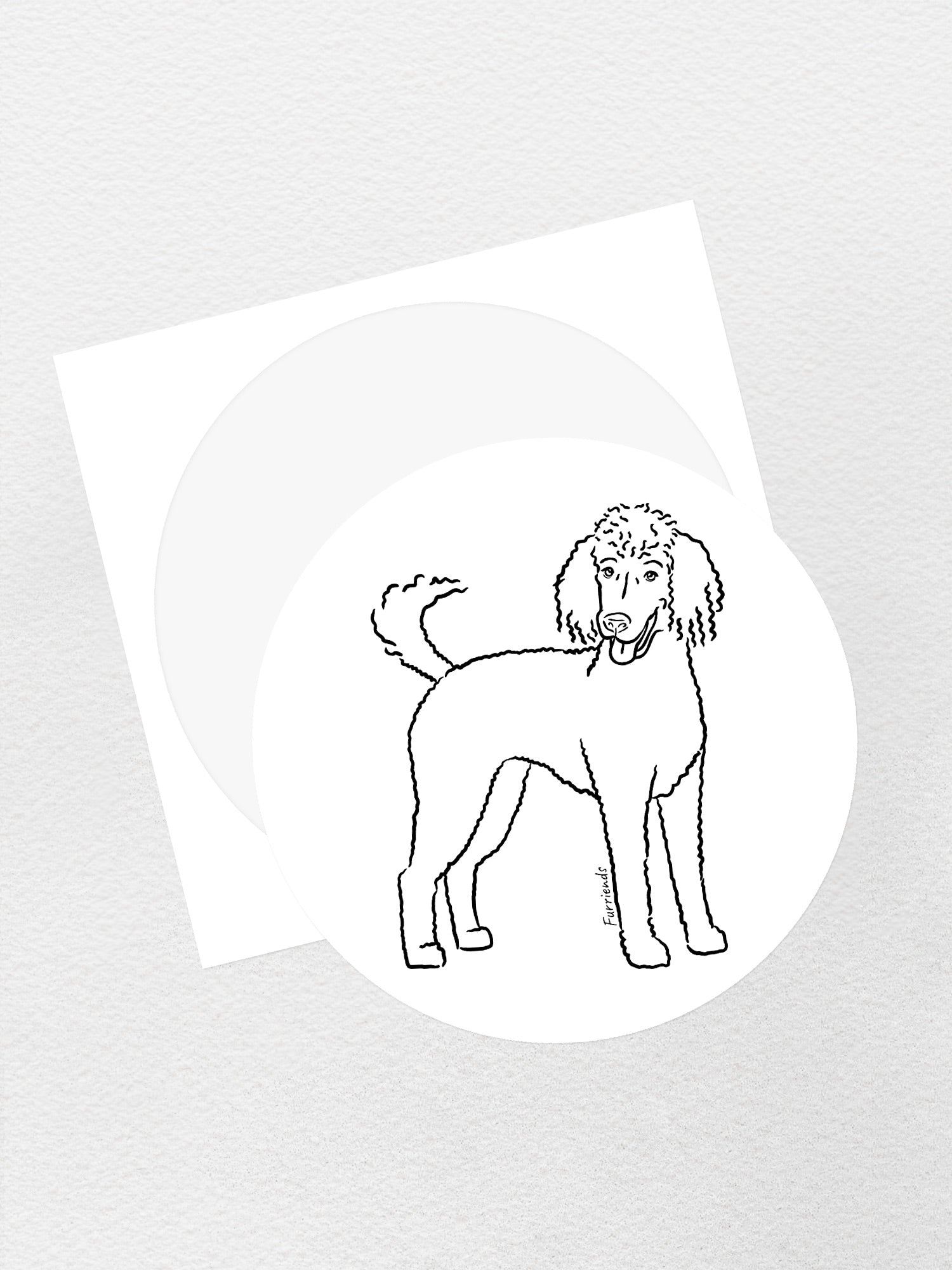 Poodle Sticker