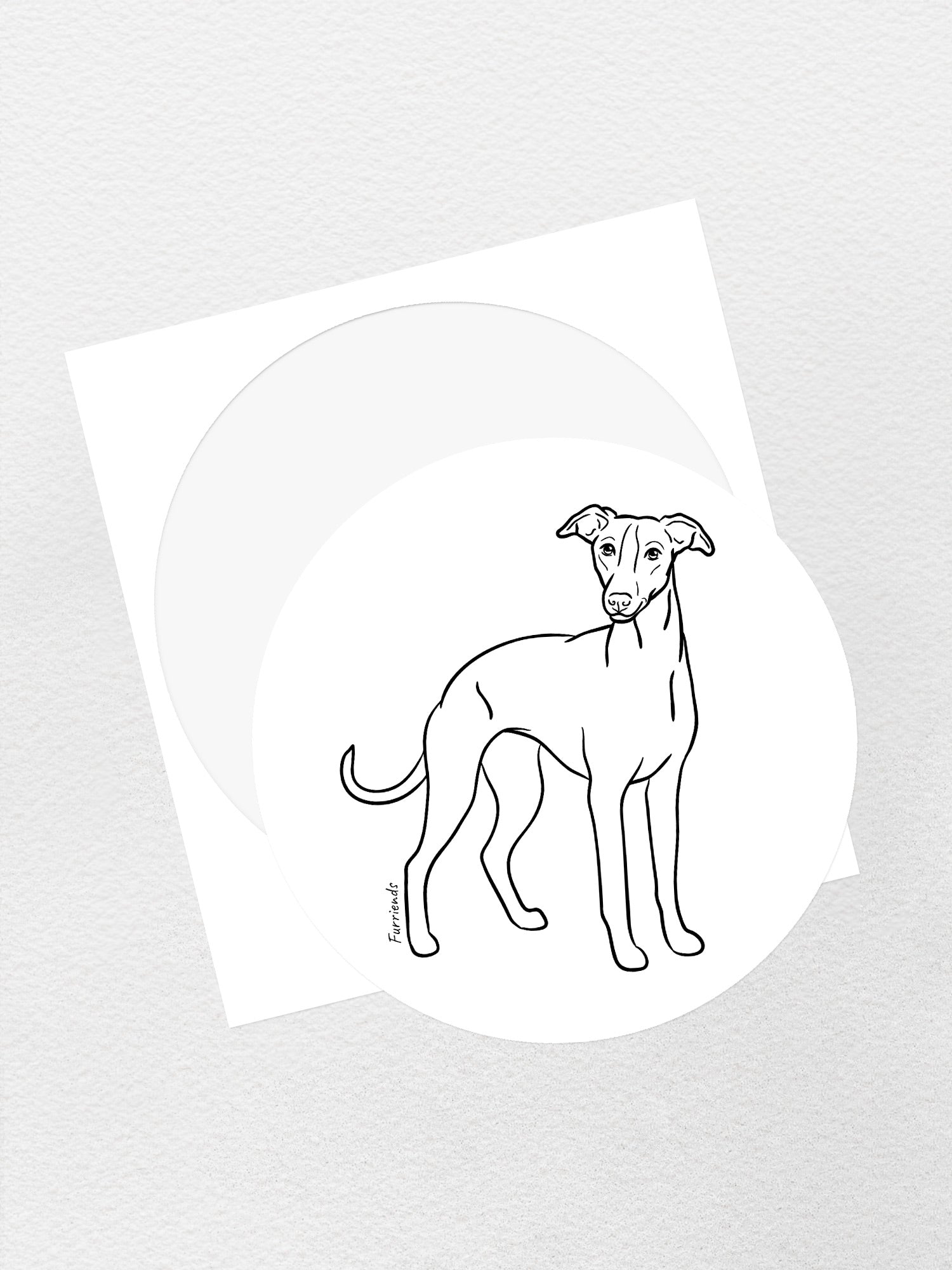 Whippet Sticker
