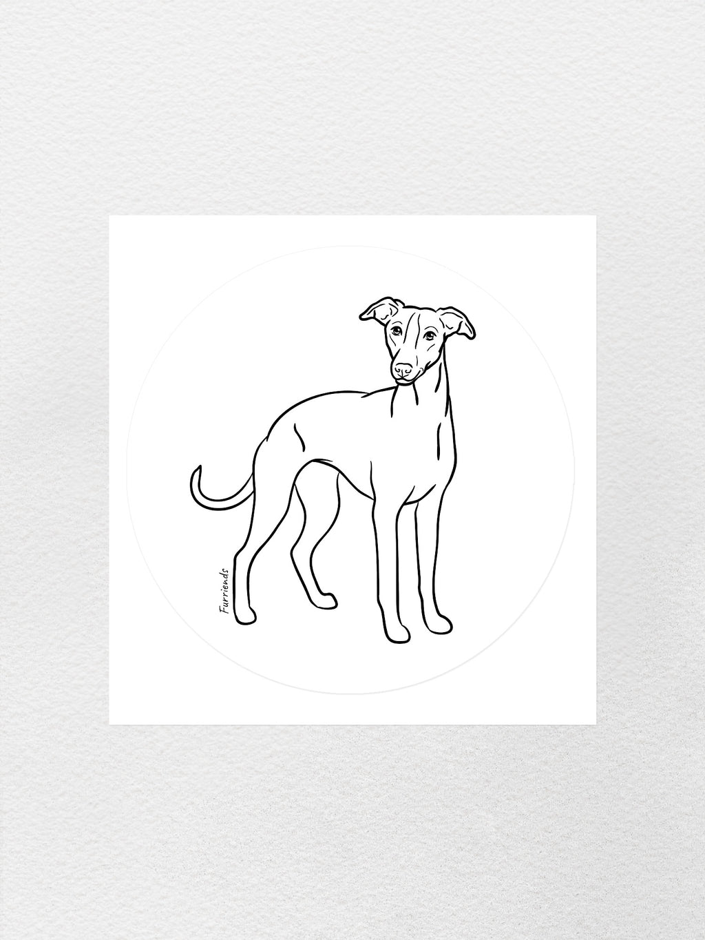Whippet Sticker