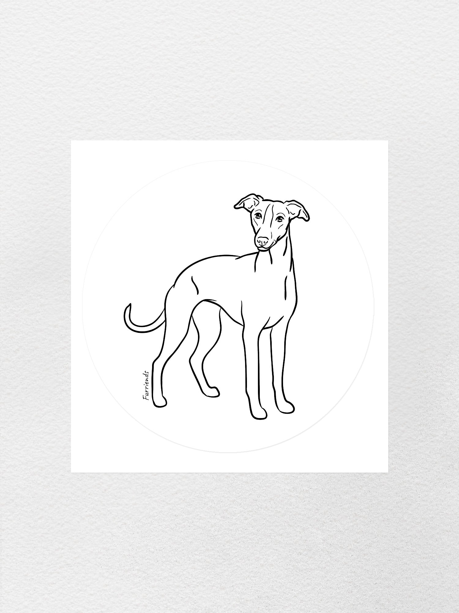 Whippet Sticker