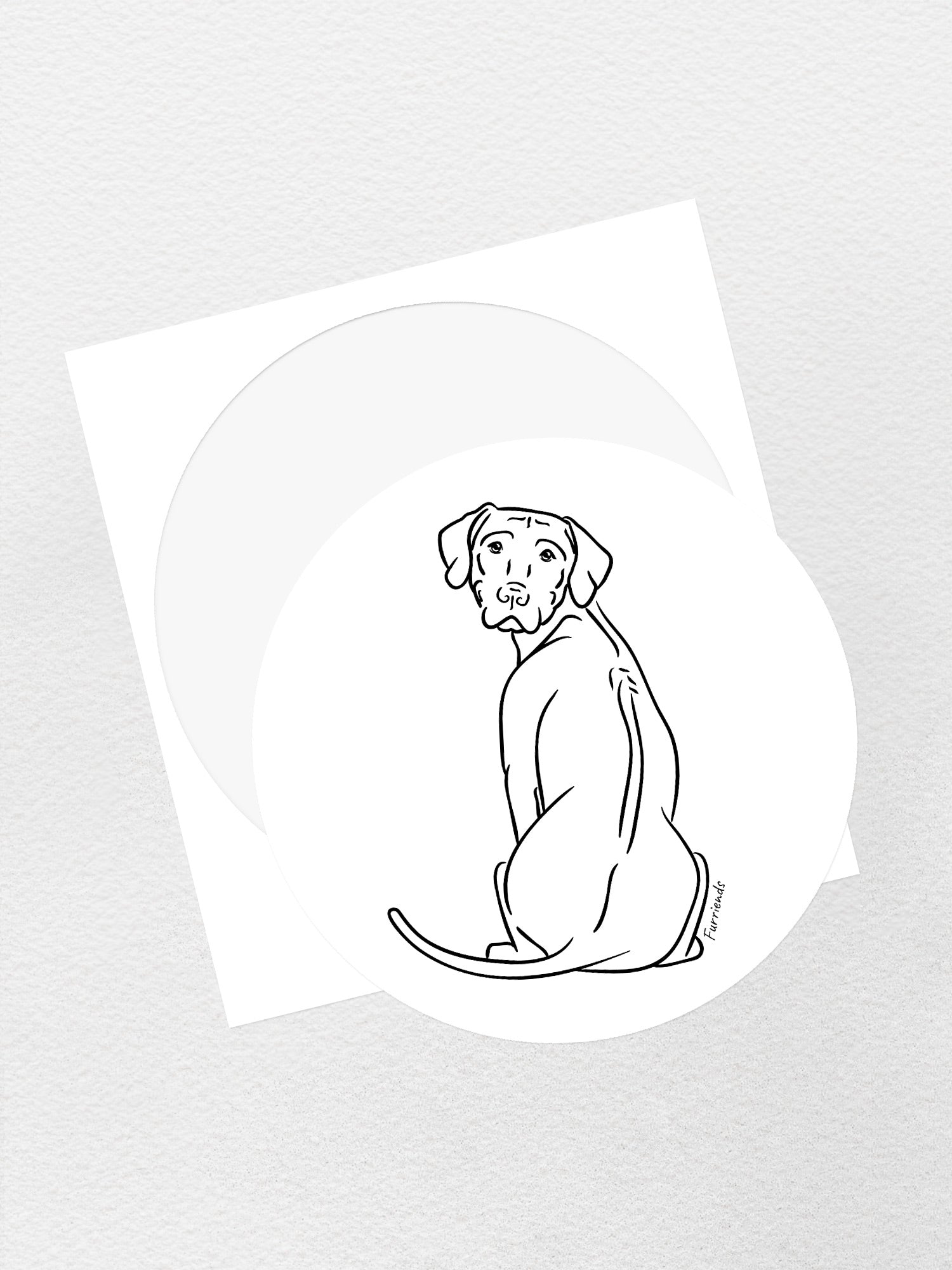 Rhodesian Ridgeback Sticker