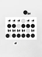 Border Collie Sticker Sheet