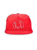 Dachshund Quick-Dry Cap