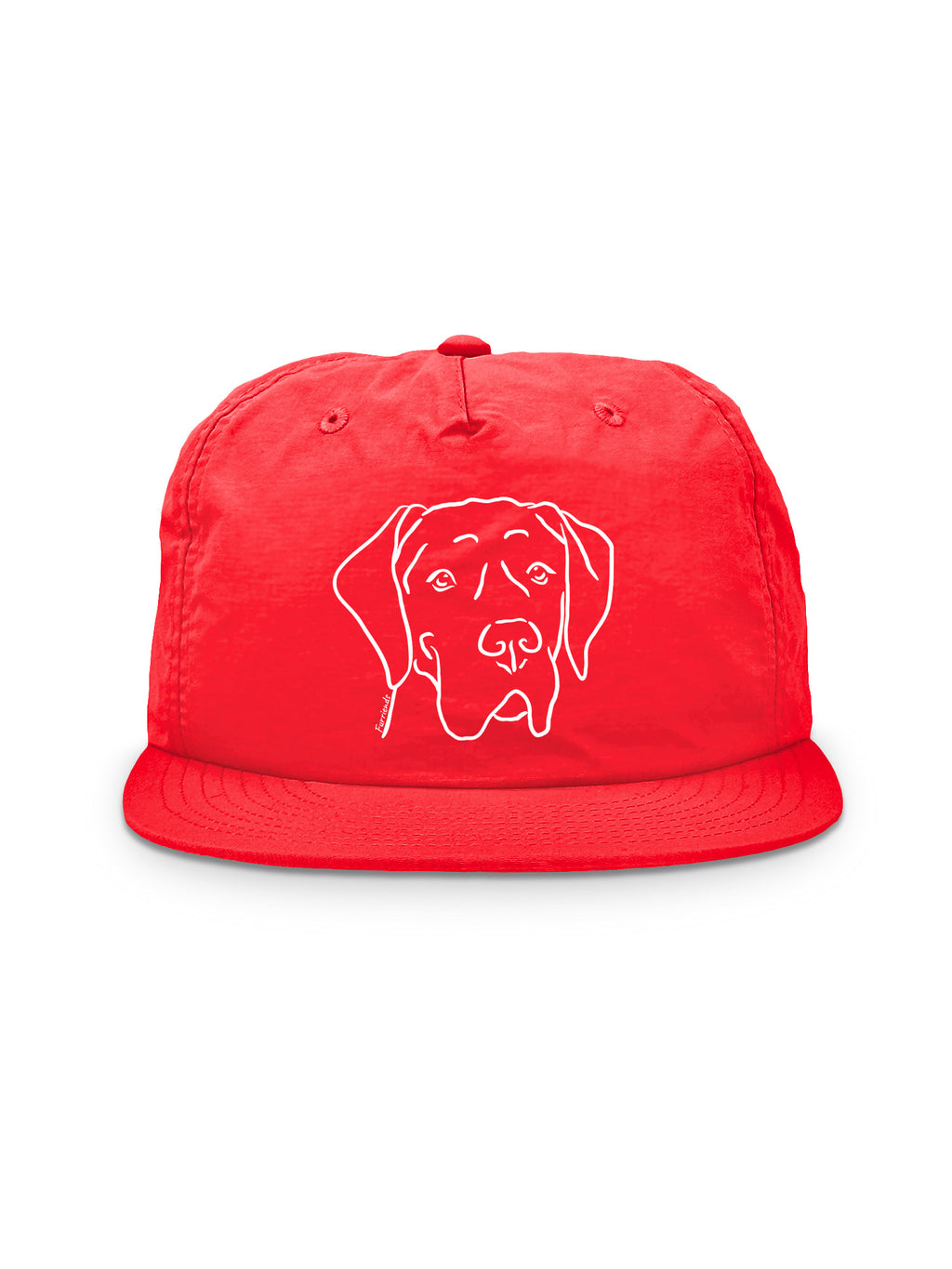 Great Dane Quick-Dry Cap