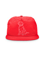 Labrador Quick-Dry Cap