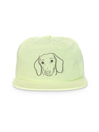 Dachshund Quick-Dry Cap