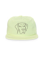 Great Dane Quick-Dry Cap