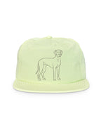 Great Dane Quick-Dry Cap
