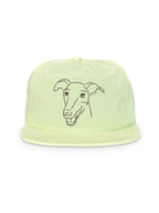 Greyhound Quick-Dry Cap