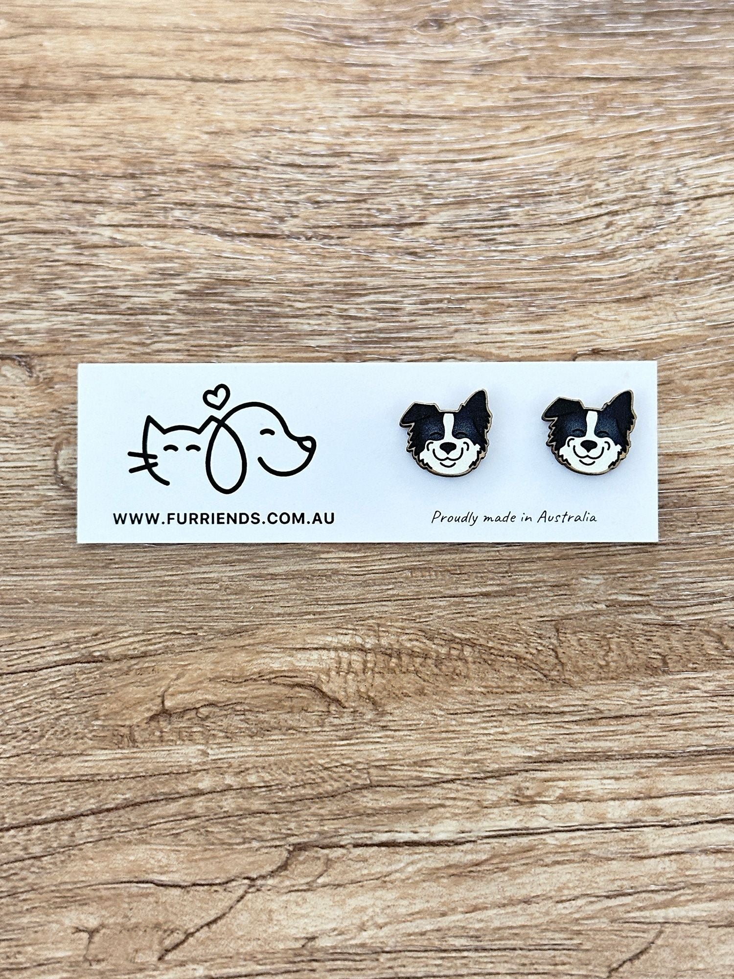 Border Collie ColourPop Stud Earrings