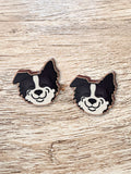 Border Collie ColourPop Stud Earrings