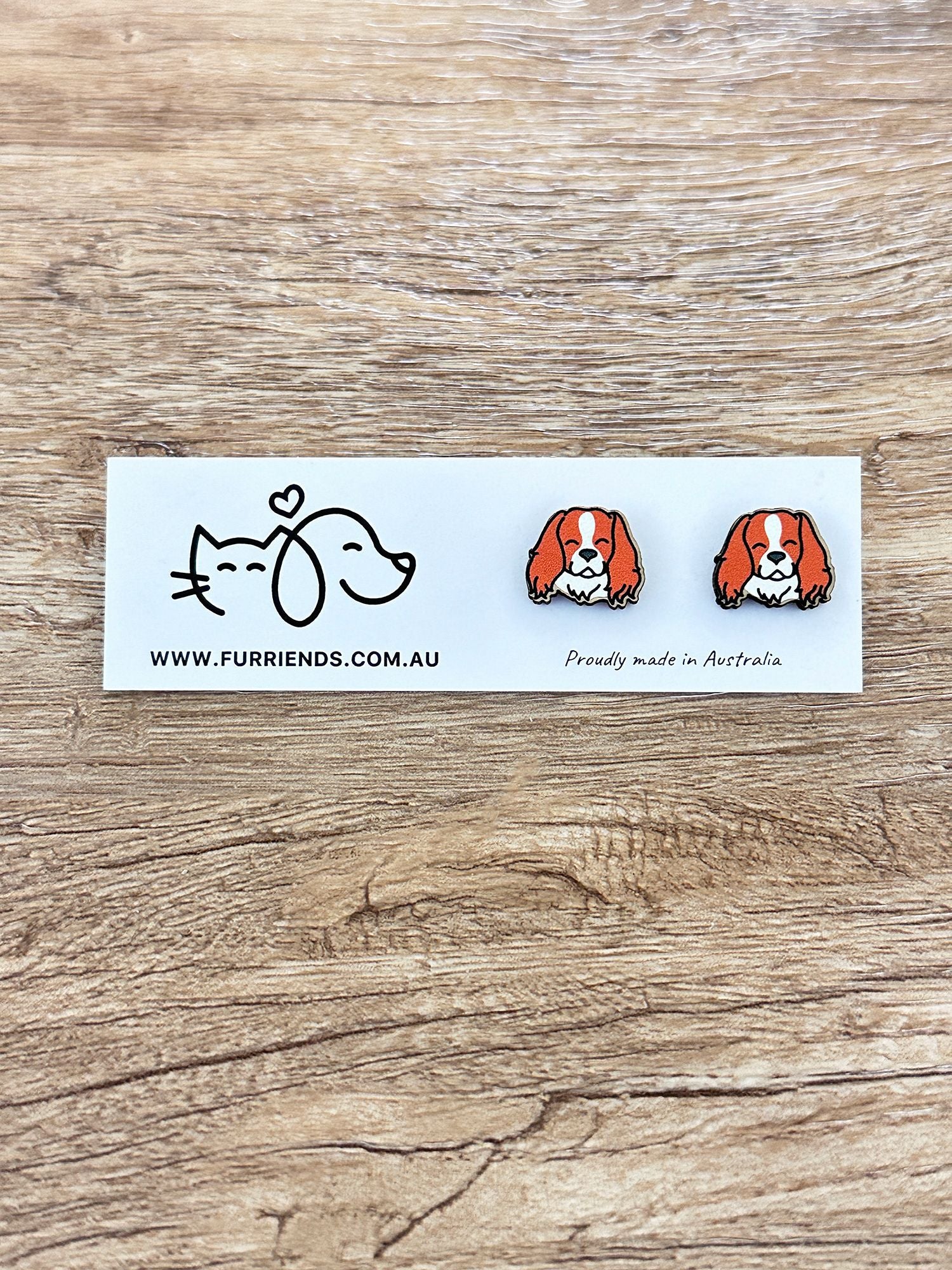 Cavalier King Charles Spaniel ColourPop Stud Earrings