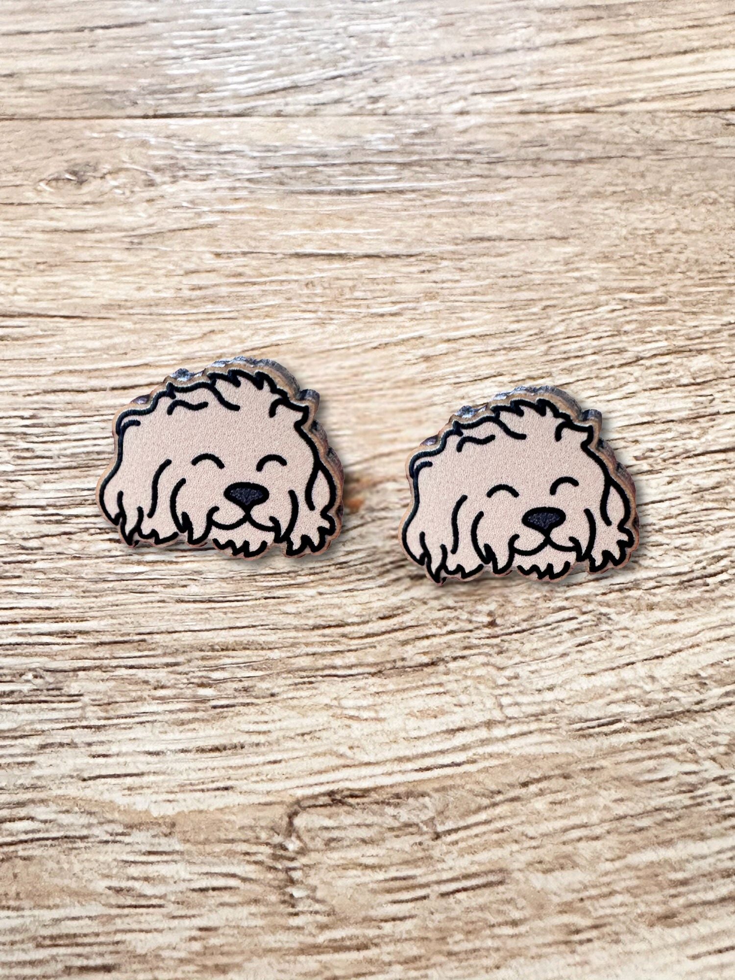 Cavoodle ColourPop Stud Earrings