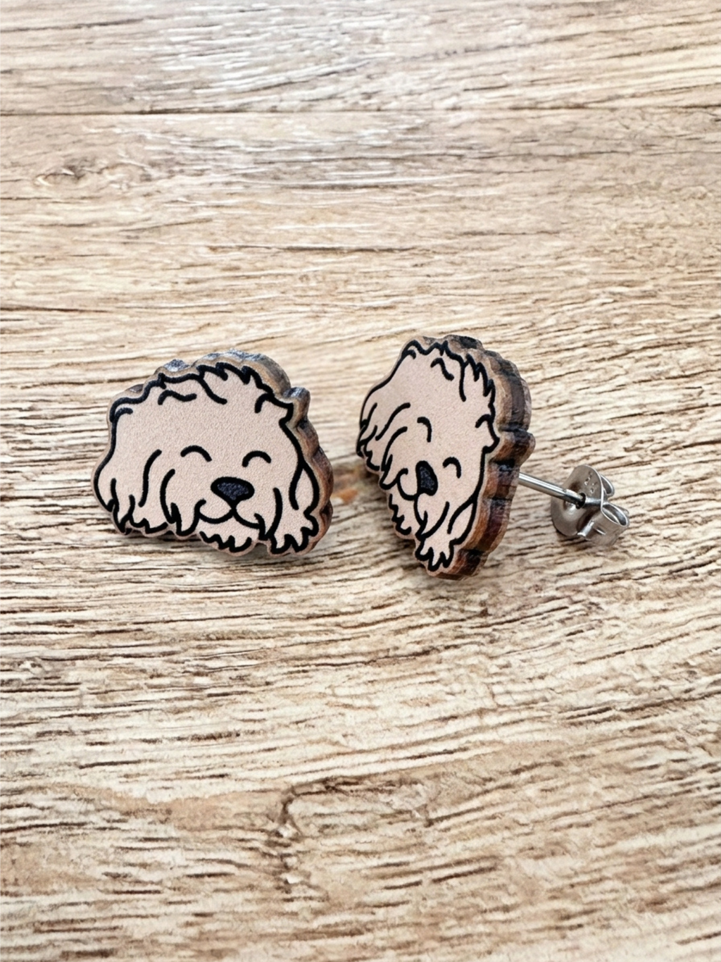 Cavoodle ColourPop Stud Earrings