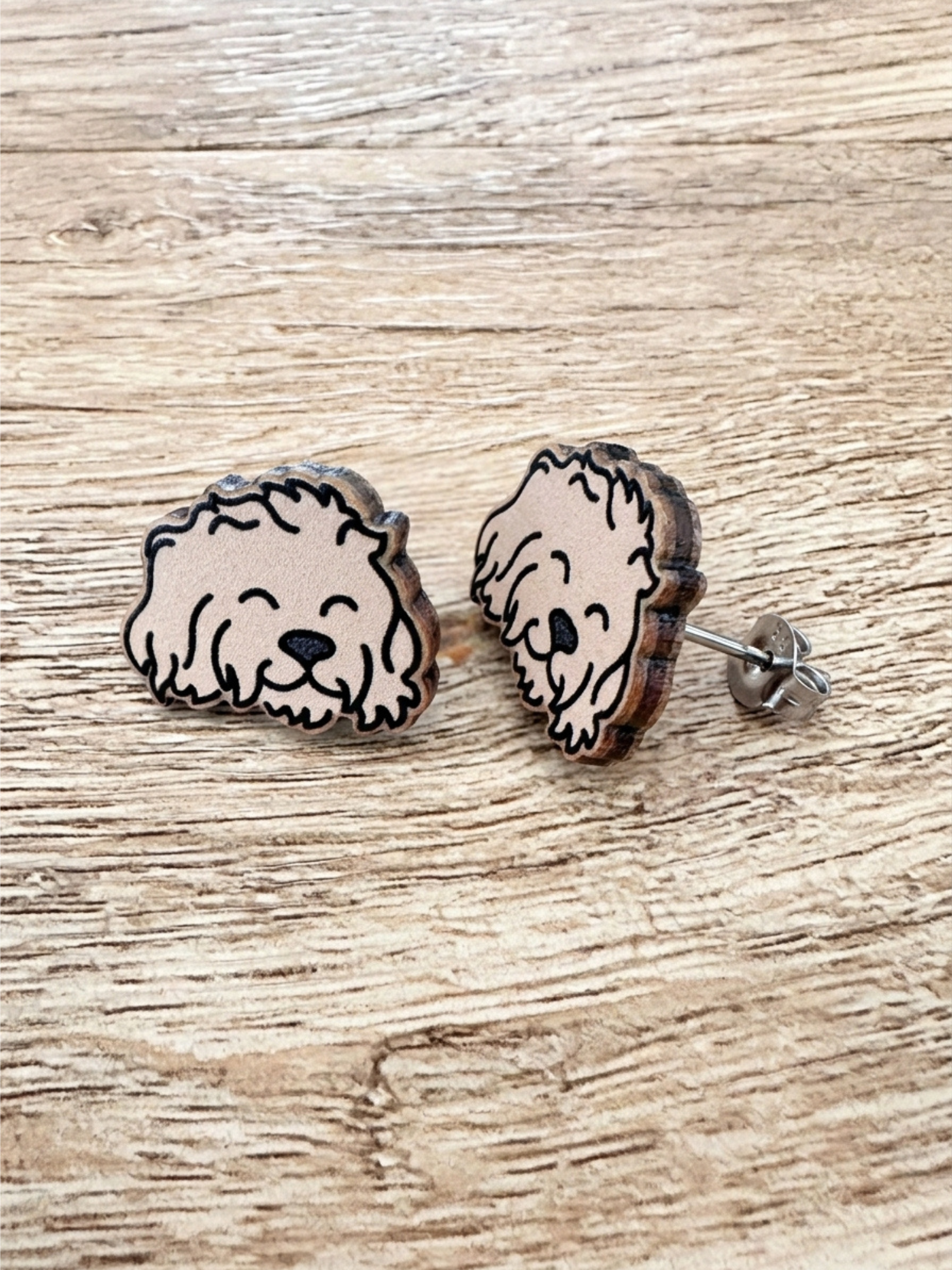 Cavoodle ColourPop Stud Earrings