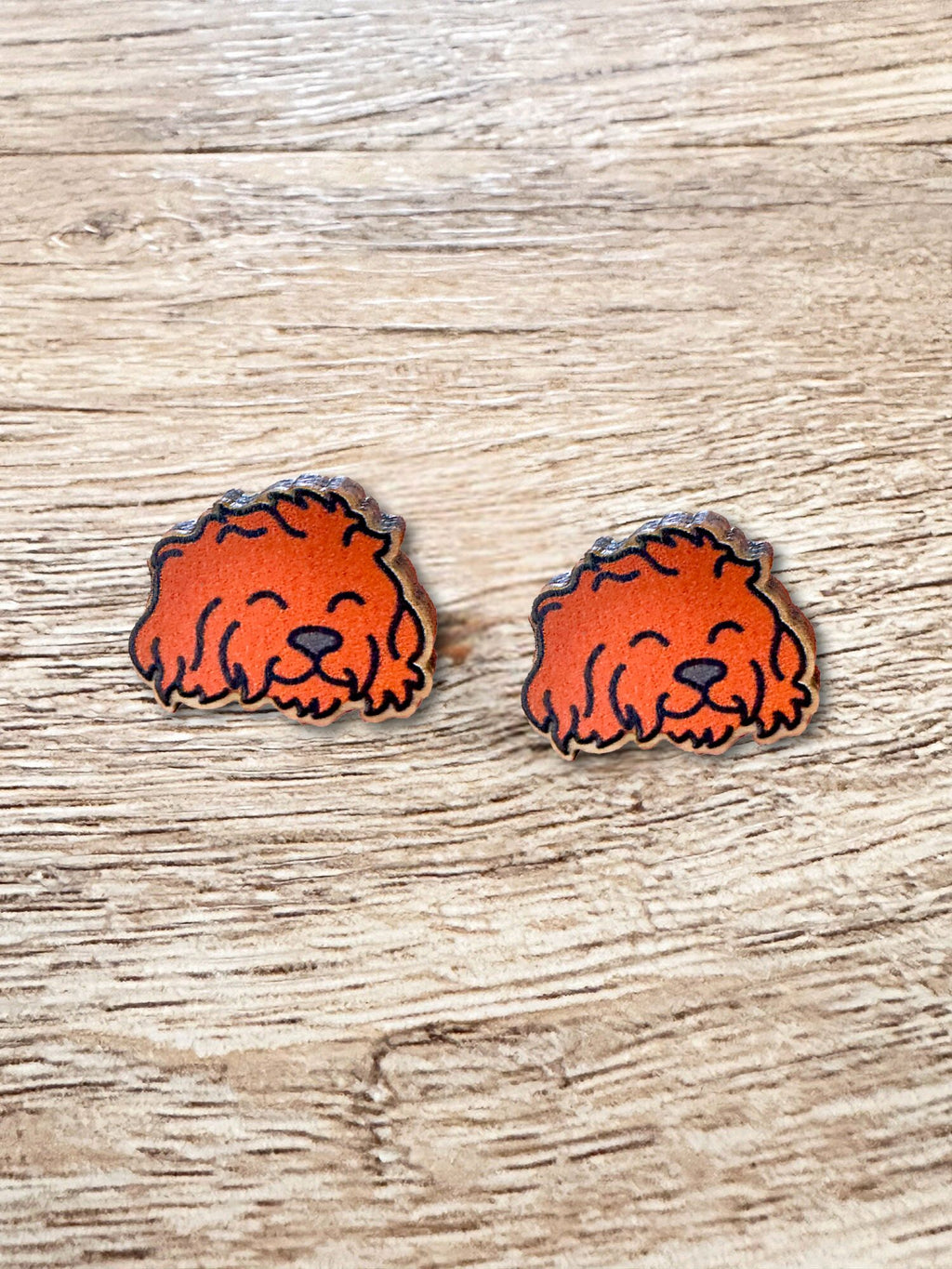 Cavoodle ColourPop Stud Earrings