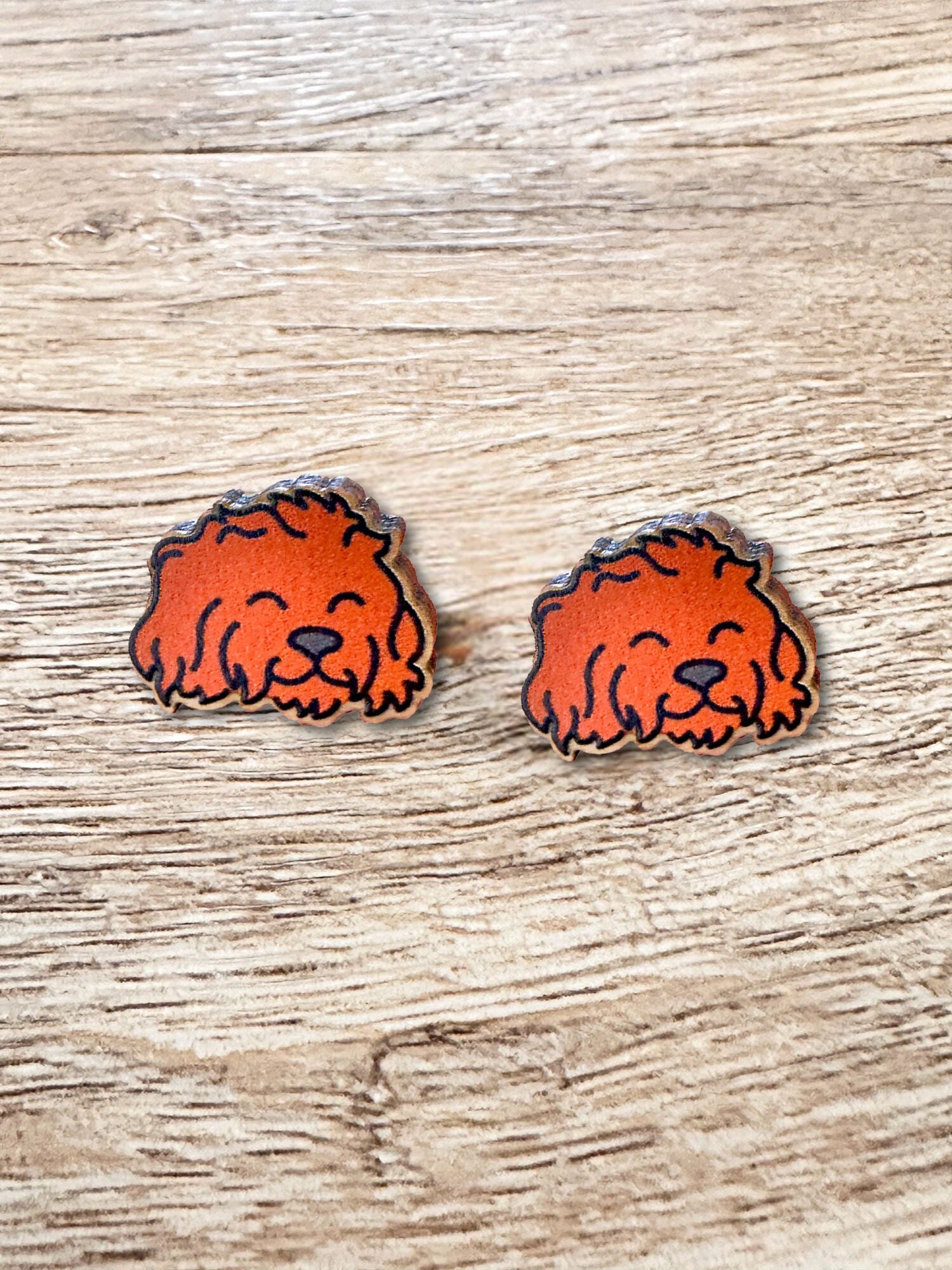 Cavoodle ColourPop Stud Earrings