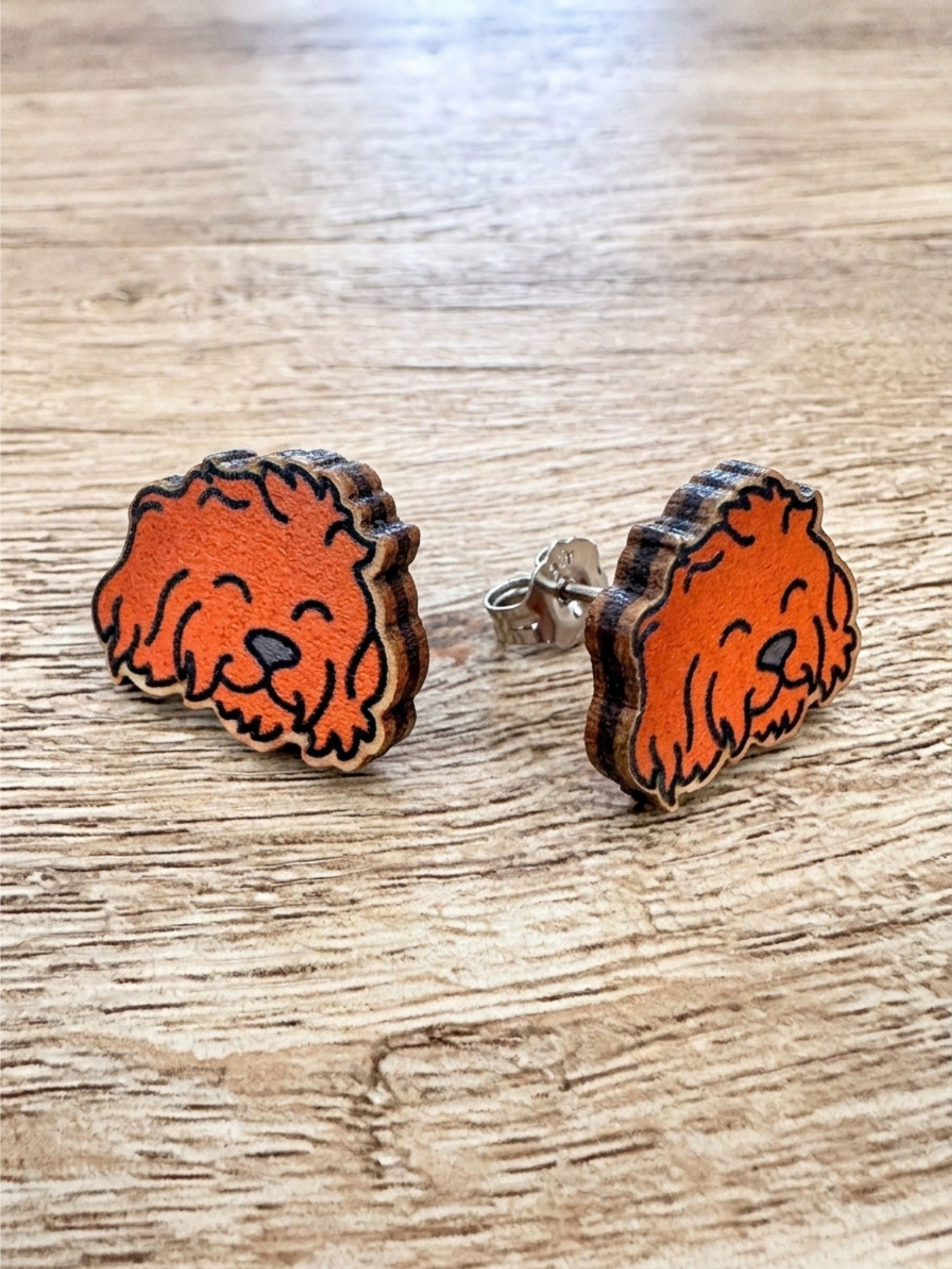 Cavoodle ColourPop Stud Earrings