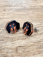 Dachshund ColourPop Stud Earrings