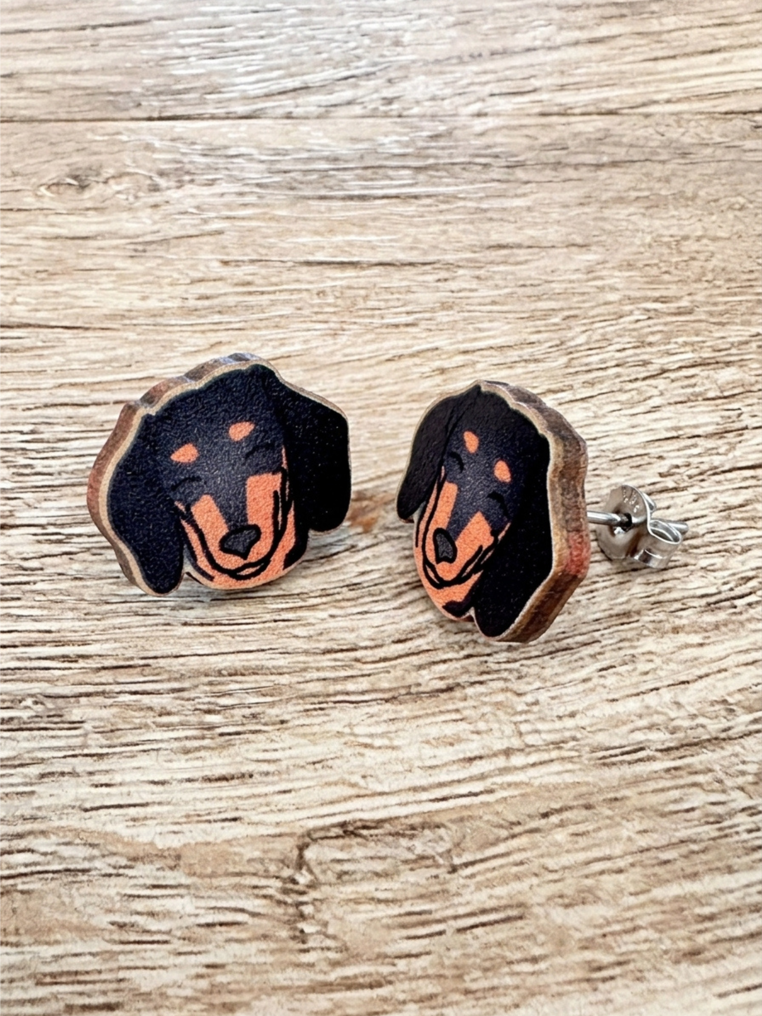 Dachshund ColourPop Stud Earrings