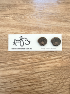Echidna ColourPop Stud Earrings