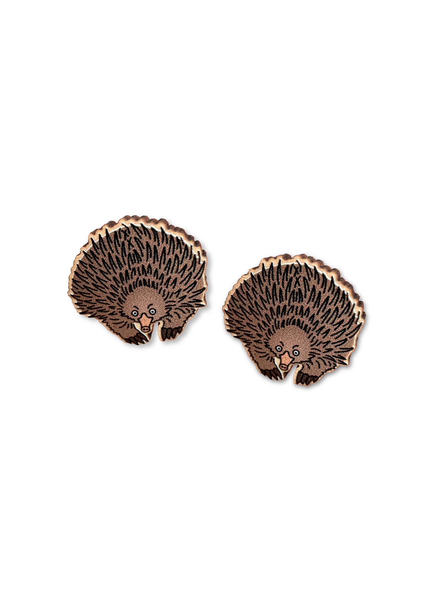 Echidna ColourPop Stud Earrings