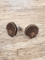 Echidna ColourPop Stud Earrings